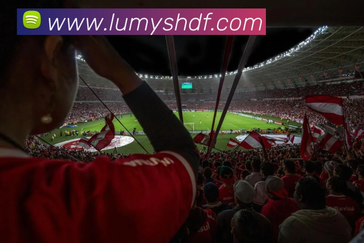 多媒体互动体验